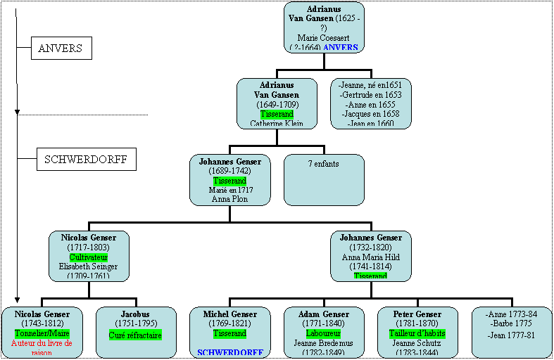 Organigramme hirarchique