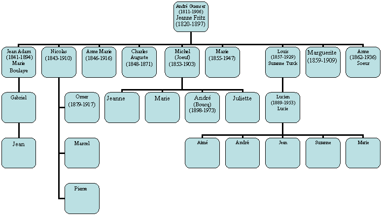 Organigramme hirarchique